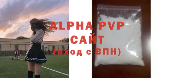 крисы Каменка