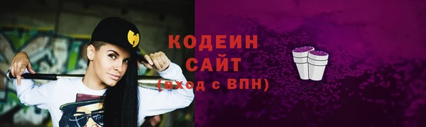 мдпв Киреевск