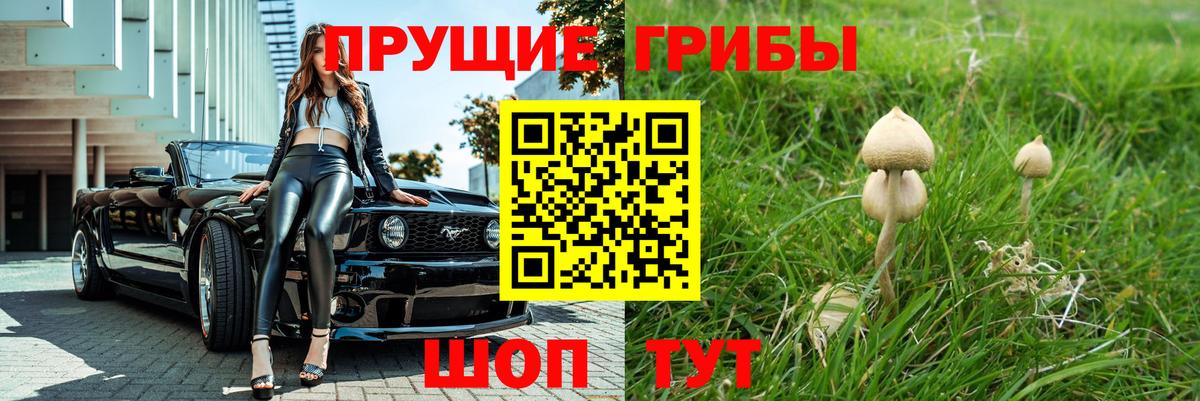 Кумертау  Галлюциногенные грибы MAGIC MUSHROOMS  Вход с VPN  Галлюциногенные грибы мухоморы 